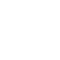 euro